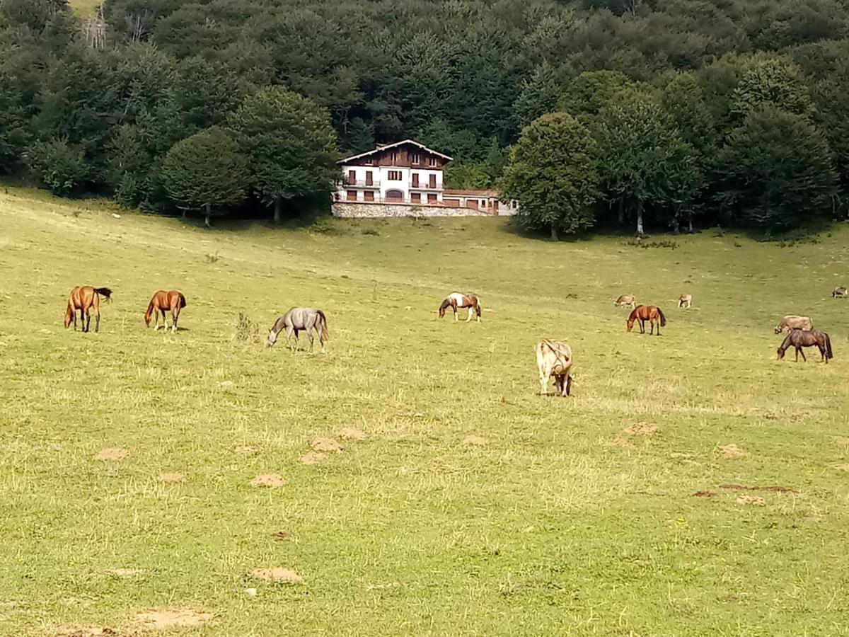 Il Giardino Di Cres Bed & Breakfast Esino Lario Luaran gambar